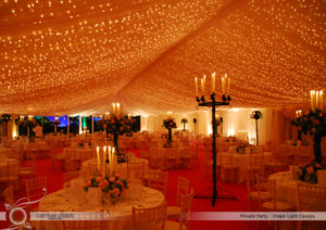 Louisa Mehal Lighting  