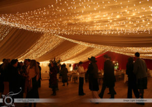 Louisa Mehal Lighting  
