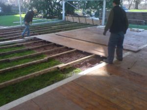 Louisa Mehal Flooring  