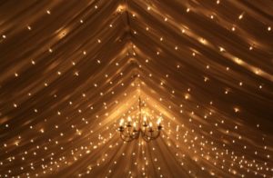 Louisa Mehal Lighting  